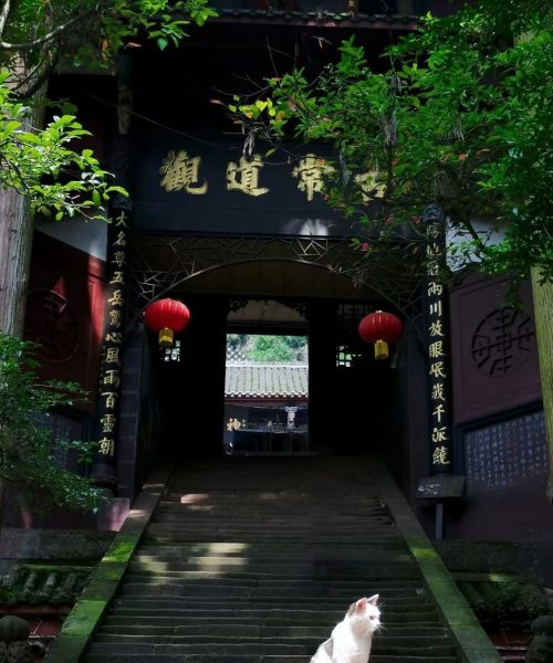 qingcheng 10