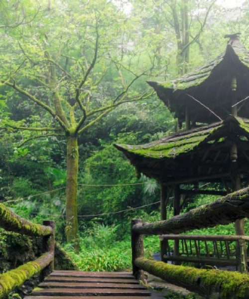 qingcheng 3
