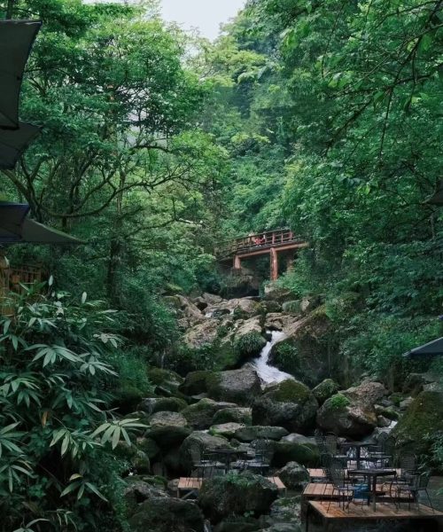 qingcheng 8